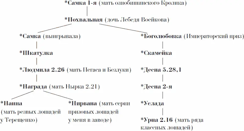 Как видно из схемы все без исключения кобылы этого гнезда оказались - фото 38
