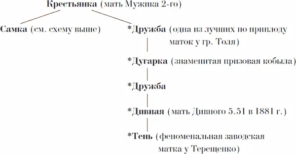 Эта схема ясно показывает значение Крестьянки как заводской матки Если бы Ф - фото 39