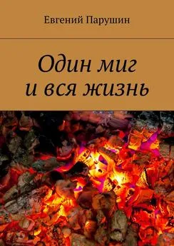 Евгений Парушин - Один миг и вся жизнь