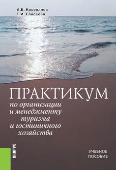 Александр Косолапов - Практикум по организации и менеджменту туризма и гостиничного хозяйства