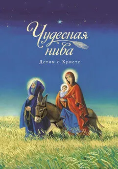 Array Сборник - Чудесная нива. Детям о Христе