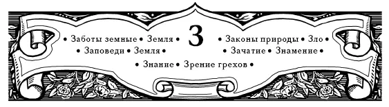 Заботы земные В причину нежелания прийти на вечерю званные выставили свои - фото 13