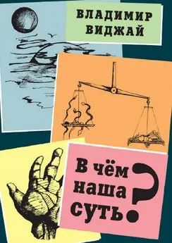 Владимир Виджай - В чём наша суть?