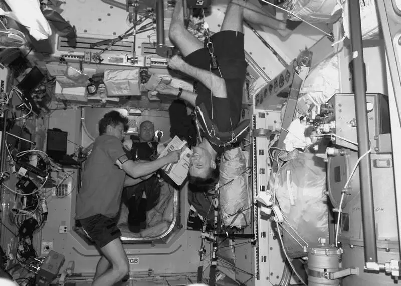 Космонавты в невесомости на борту МКС Однако с выходом животных на сушу у них - фото 11
