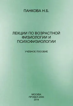 Наталия Панкова - Лекции по возрастной физиологии и психофизиологии