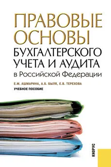 Елена Терехова - Правовые основы бухгалтерского учета и аудита в РФ