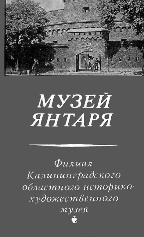 Буклет Музея янтаря 1984 год Этот летний отпуск наша семья впервые проводила - фото 64