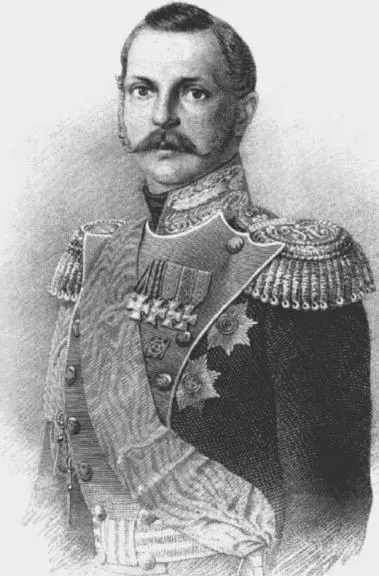 Александр II По их мнению обострение борьбы между революционерами и их - фото 22