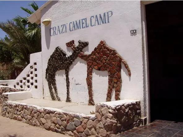 One of the first campuses Dahab Crazy Camel Located in Dahab should not seek - фото 15