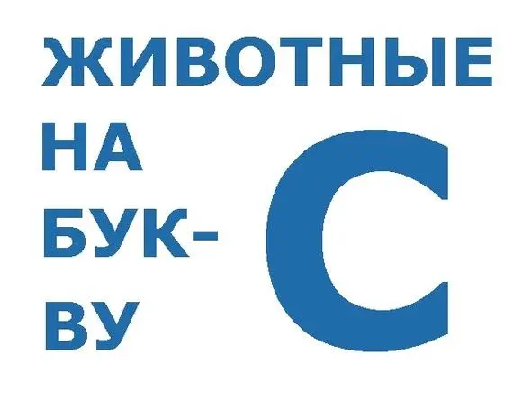 продолжение начало в восьмой книге Скворец Птиц обожаю я с раннего детств - фото 1