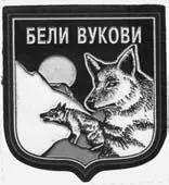 После окончания войны большинство добровольцев вернулось в Россию где они - фото 6