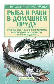 Александр Снегов - Рыба и раки. Технология разведения