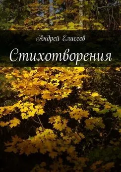 Андрей Елисеев - Стихотворения