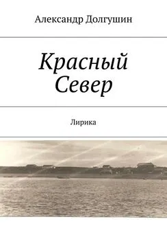 Александр Долгушин - Красный Север