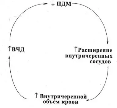 Рис 4 Сосудорасширяющий каскад Рис 5 Сосудосуживающий каскад Системное - фото 6