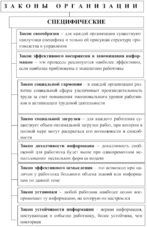 Рис 25Специфические законы организации 48 Рис 26Частные законы - фото 11