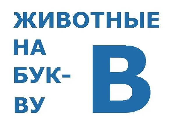 Вальдшнеп Я давно мечтаю Мне б Подарил свой клюв Вальдшнеп Я б им булки - фото 1