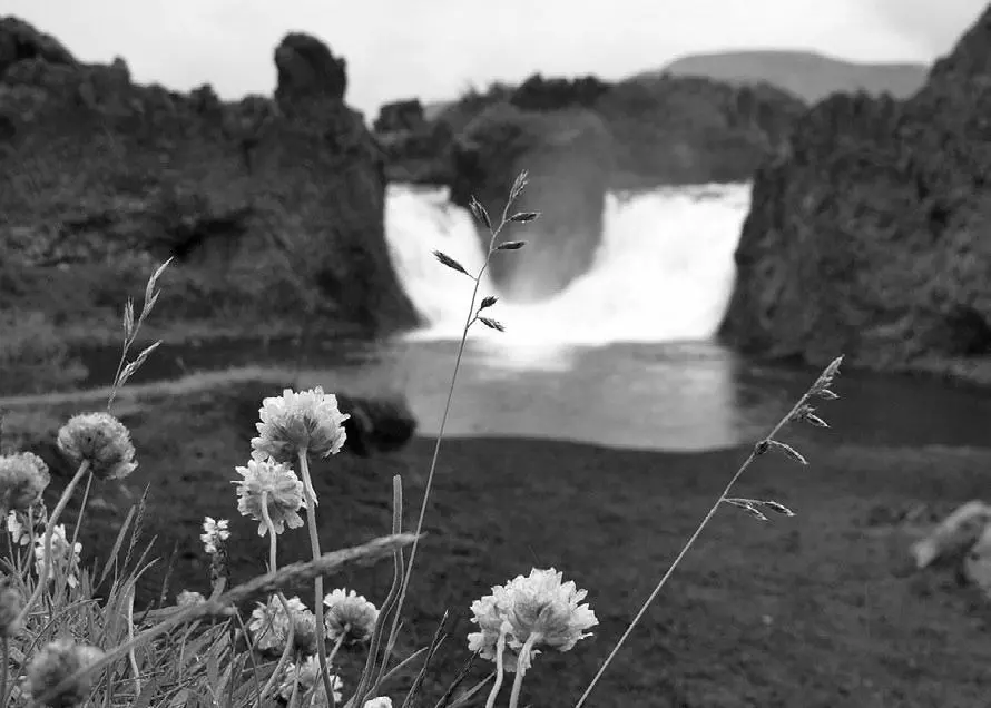 Очередной водопад Так выглядят исландские развалины Теперь о еде - фото 46