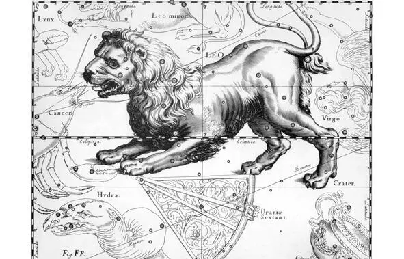 О41 Зодиакальное Созвездие Лев LEO из Атласа Uranographia Яна Гевелия - фото 1