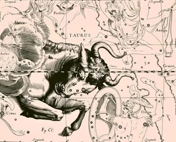 О42 Зодиакальное Созвездие Телец TAURUS Минотавр из Атласа Uranographia - фото 2