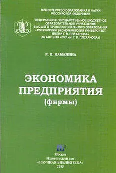 Раиса Каманина - Экономика предприятия (фирмы)