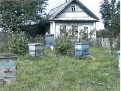 Всё это в подробностях выслушивалось нами при очередном приезде а в закоулках - фото 36