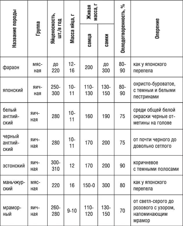 Отбор птицы на племя Перепела очень чувствительны к родственному спариванию - фото 9