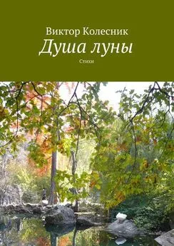 Виктор Колесник - Душа луны