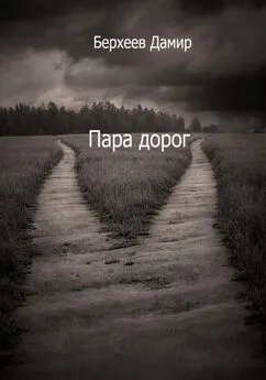 Дамир Берхеев - Пара дорог