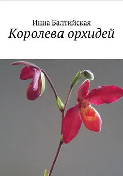 Инна Балтийская - Королева орхидей