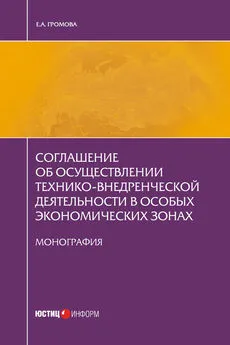 Елизавета Громова - Соглашение об осуществлении технико-внедренческой деятельности в особых экономических зонах