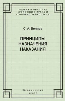 Самир Велиев - Принципы назначения наказания