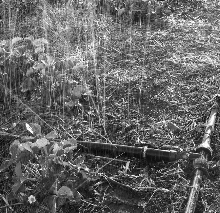 Рис 29 И все же далеко не во всех районах нашей необъятной родины огородники - фото 39