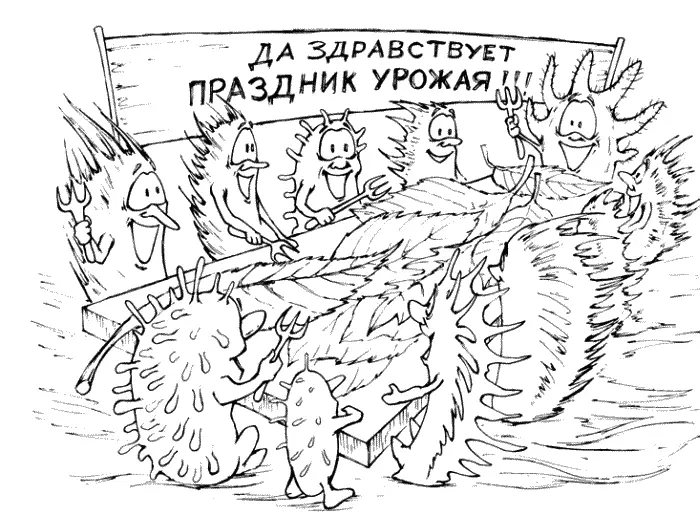 ПЛОДОРОДИЕ Способ питания сапрофитов сама суть плодородия Все сапрофиты - фото 45
