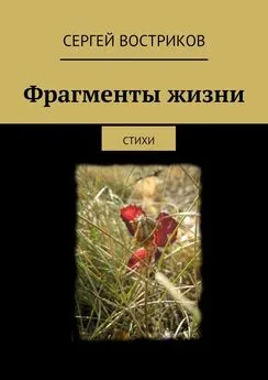 Сергей Востриков - Фрагменты жизни. стихи