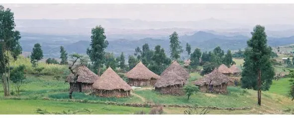 Пейзажи Эфиопии История эфиопского народа насчитывает не менее сорока веков - фото 20