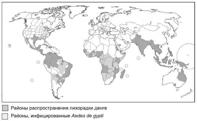Рис 4 Географическое распространение лихорадки денге и основного переносчика - фото 6