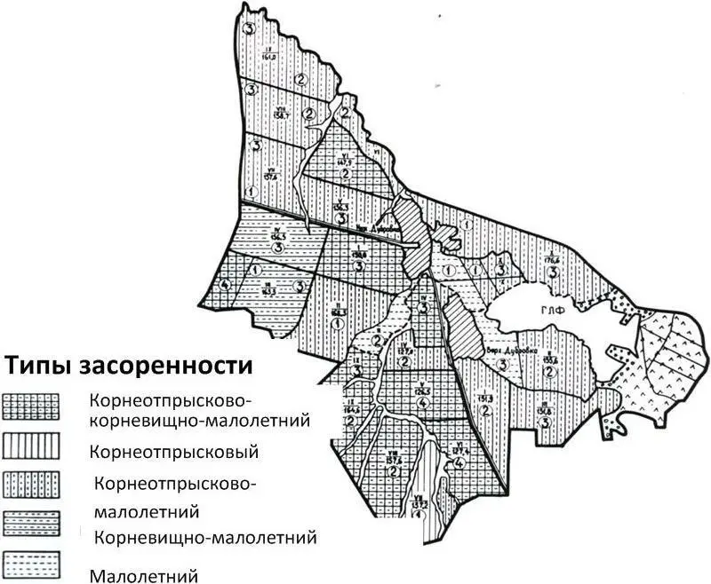 Рисунок 1 Карта засоренности полей Таблица 3 Методика картирования - фото 4