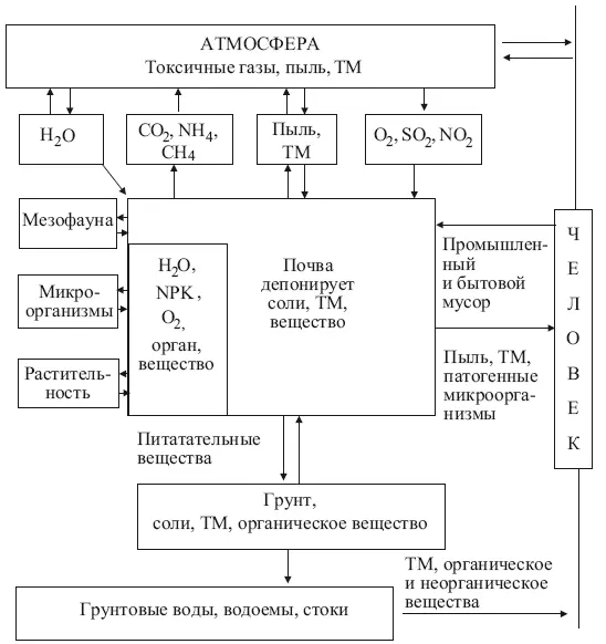 Рис 22 Роль почвы в городских экосистемах Добровольский 1997 222 - фото 28