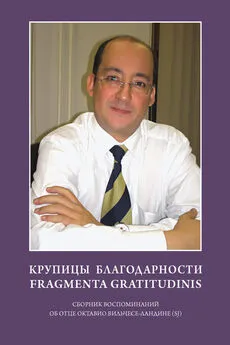 Коллектив авторов - Крупицы благодарности. Fragmenta gratitudinis. Сборник воспоминаний об отце Октавио Вильчесе-Ландине (SJ)