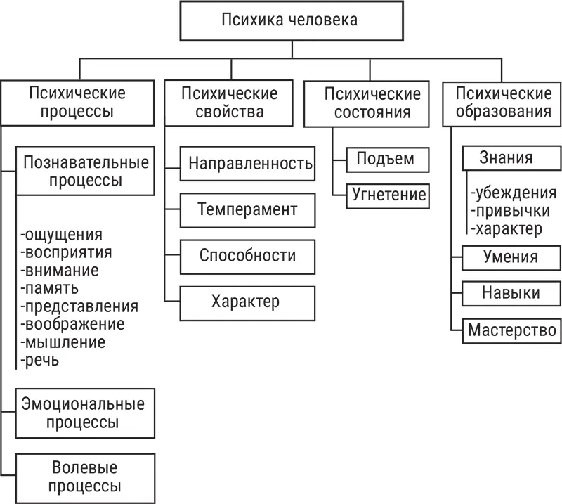 Рис 21 Мир психических явлений Психика человека является функцией мозга - фото 7