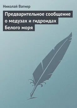 Николай Вагнер - Предварительное сообщение о медузах и гидроидах Белого моря