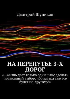 Дмитрий Шуников - На перепутье 3-х дорог