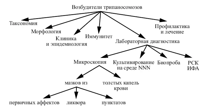 Возбудитель трихомоноза Таксономия Возбудитель трихомоноза Trichomonas - фото 22