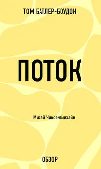 Том Батлер-Боудон - Поток. Михай Чиксентмихайи (обзор)