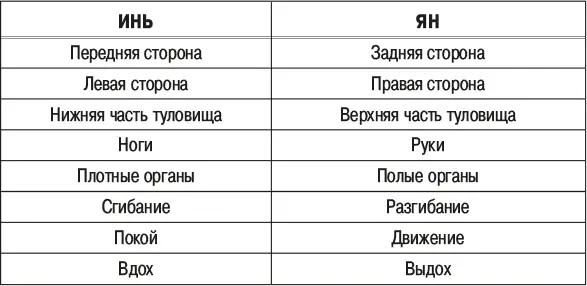 Инь и Ян не являются абсолютными понятиями Они относительны как и все в мире - фото 2