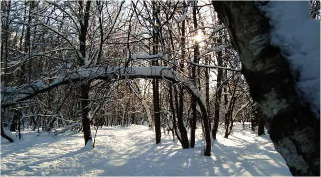 Неумолимое время Ксюша я купила новое платье раскосые глаза Ани - фото 7