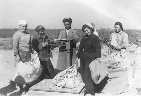 Моя сестрёнка Вилия взвешивает собранный ею хлопок В 1958 году я благополучно - фото 21