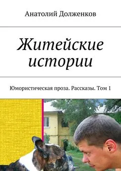 Анатолий Долженков - Житейские истории. Юмористическая проза. Рассказы. Том 1