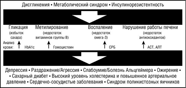 Основные составляющие метаболического глобального потепления и связанные с - фото 14